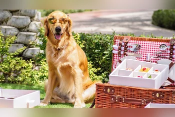 Valentine’s in the UAE for under Dh200: Free events, dinner deals and budget date ideas