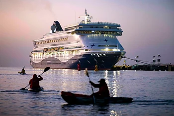 Athletes travel on cruise ship to UAE's iconic Sir Bani Yas Island with peacocks, dolphins