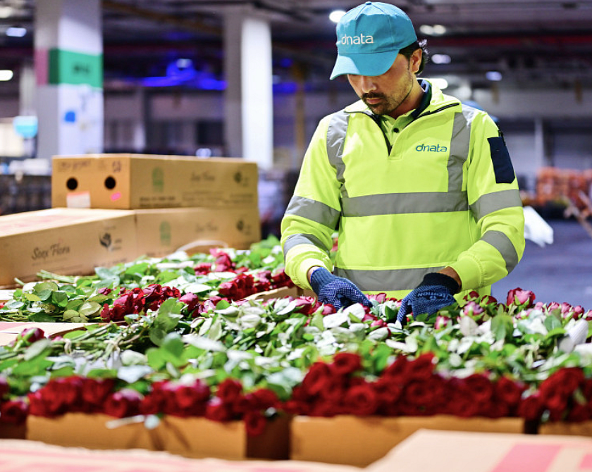 Dubai Flower Centre: UAE's dnata handles 227,000kg of Valentine’s Day flowers in 5 days