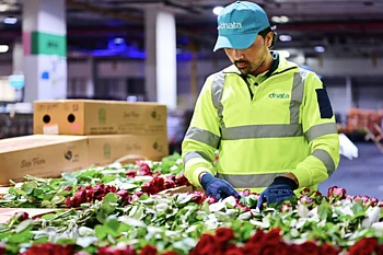 Dubai Flower Centre: UAE's dnata handles 227,000kg of Valentine’s Day flowers in 5 days