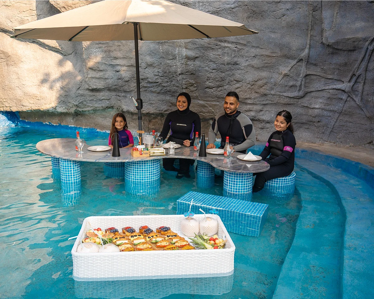 Looking for unique things to do in Abu Dhabi? Try breakfast with sea lions