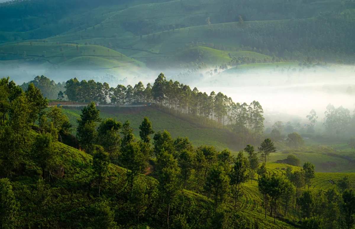 From Kerala to Keralam: UAE's Malayali community reacts to proposed renaming