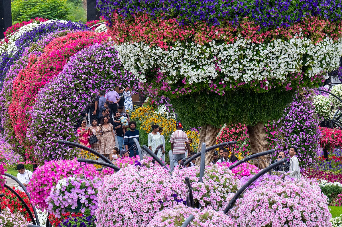 Dubai Miracle Garden announces Dh30 entry for residents for final stretch of Season 14