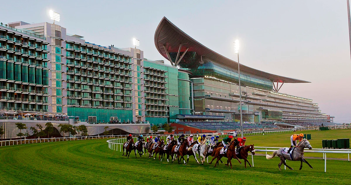 Dubai World Cup 2026: Your ultimate guide to races, experiences and prices