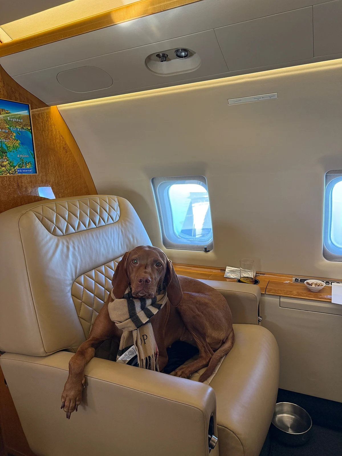 UAE sees rise in pet relocation demand, private charter costs amid Iran war