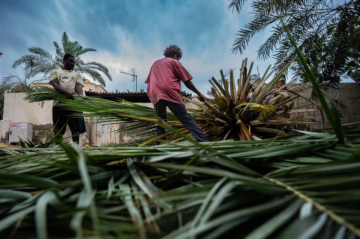 Look: UAE residents move trees uprooted by winds, heavy rain