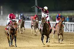 USA's Magnitude emerges as 30th Dubai World Cup champion, claims $12 million prize