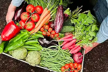 Dubai's fruit, vegetable traders confirm wide variety of food available in markets