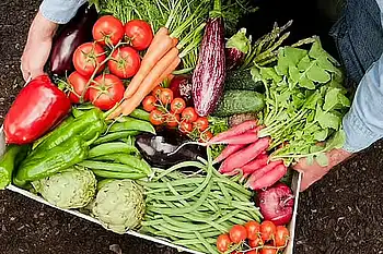 Dubai's fruit, vegetable traders confirm wide variety of food available in markets