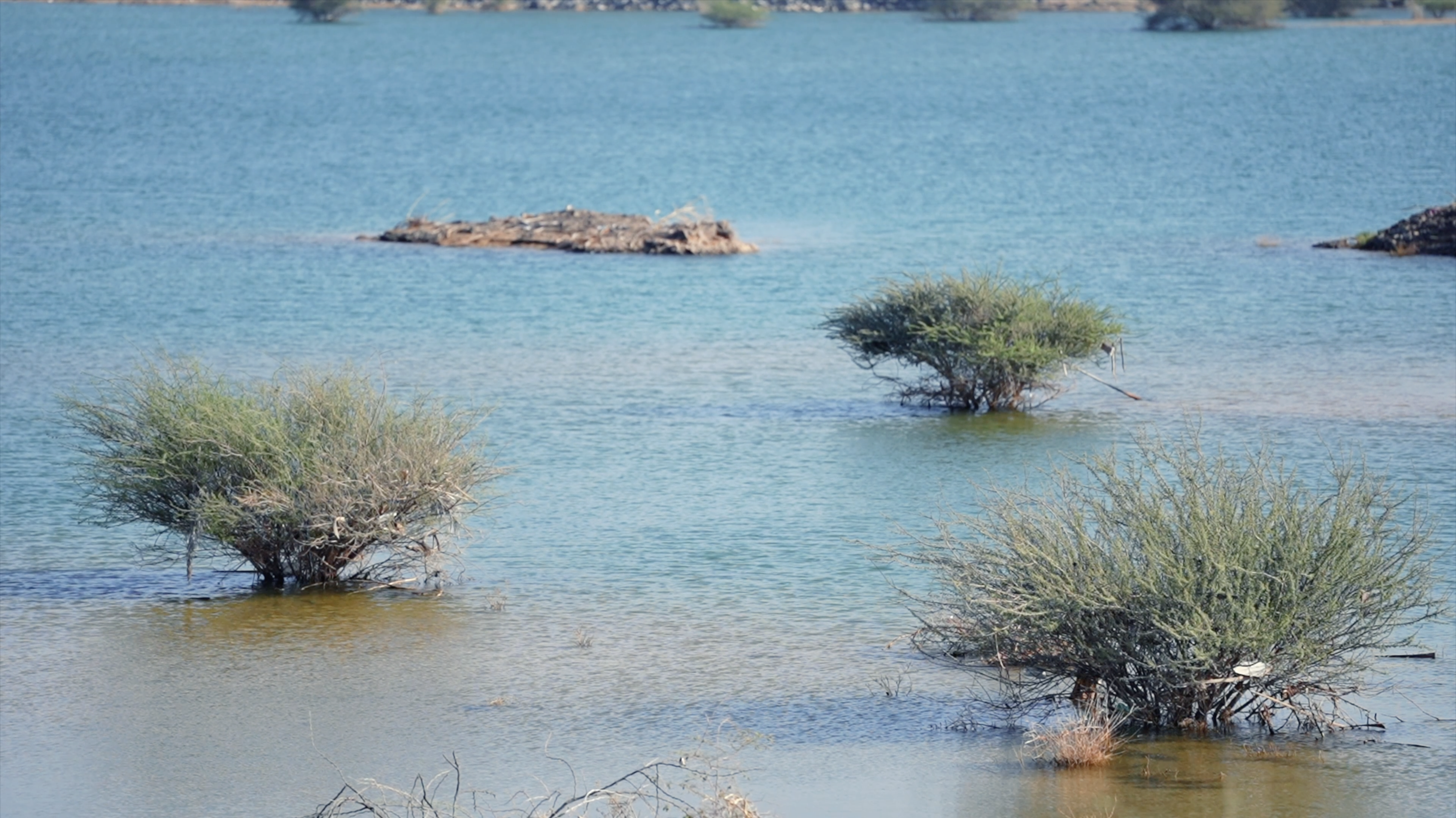 Look: Stunning sights as UAE dams fill up after a week of rains, near capacity