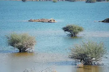 Look: Stunning sights as UAE dams fill up after a week of rains, near capacity