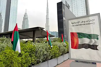 'Waving UAE flag for over 4 hours': How residents responded to Sheikh Mohammed's call