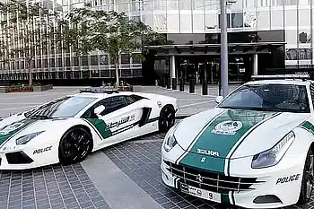 Dubai Police seize vehicle after driver performs dangerous stunts in Marina