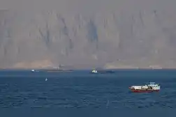 Iran ensures safe passage through Strait of Hormuz, Iranian envoy says