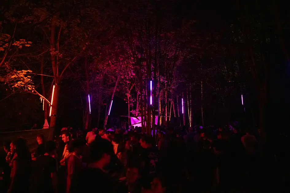 India Rave Indian authorities to go stricter on rave concerts, here's why ...