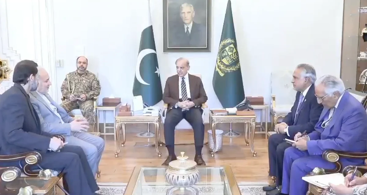 Watch: Iran's ambassador to Pakistan discusses peace efforts with PM Sharif