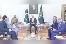Watch: Iran's ambassador to Pakistan discusses peace efforts with PM Sharif