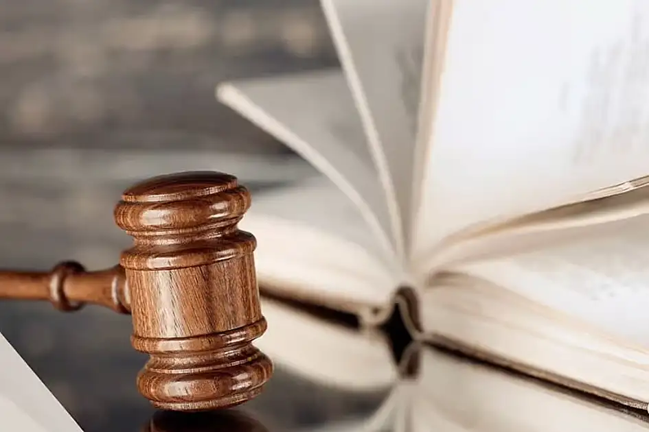 Dubai probes case of art student who grew narcotic plant at home for ...