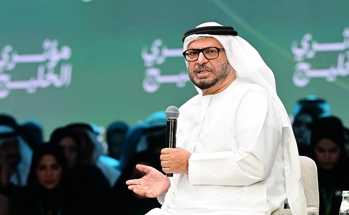 Arab League weakness expected, but not from the GCC, says Gargash