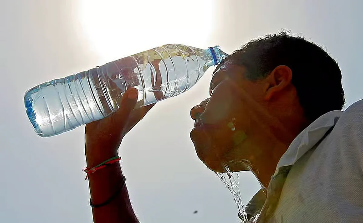 UAE astronomers reveal start of summer 2026; Pleiades star marks hot, dry season