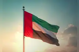 UAE forms committee to document Iranian aggression and war-related damages