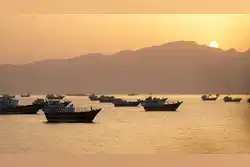 Iran officially announces new body to manage Strait of Hormuz: Top security council