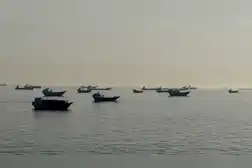 Iran Guards threaten to impose permits on internet cables passing through Hormuz