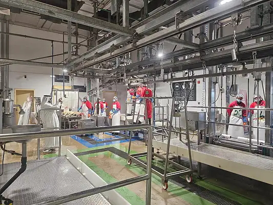 Abattoir inspections taking place
