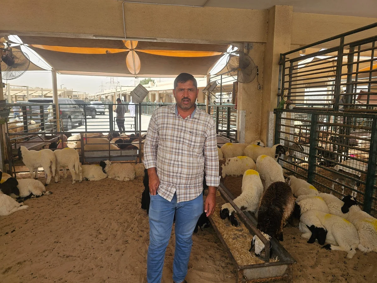 Shahid Mirza, a trader at Al Rukn Livestock Trading