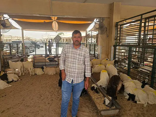 Shahid Mirza, a trader at Al Rukn Livestock Trading