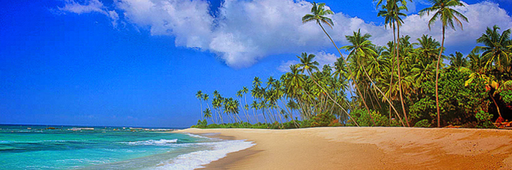 Sri Lanka announces free tourist ETA for nationals of UAE, India, Pakistan, 37 countries