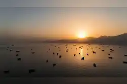 Oman says operations at Mina Al Fahal oil terminal proceeding normally