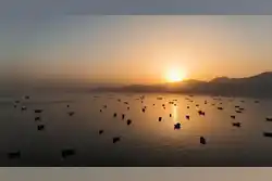 Oman says operations at Mina Al Fahal oil terminal proceeding normally