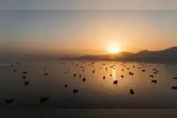 Oman says operations at Mina Al Fahal oil terminal proceeding normally