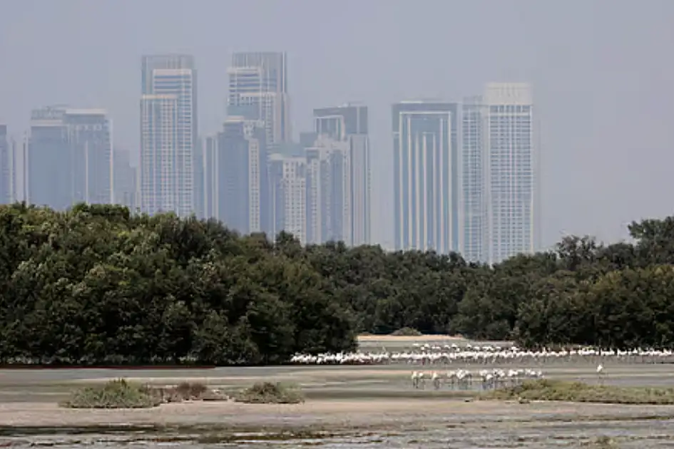 UAE weather: Temperatures to reach 42ºC in Abu Dhabi, Sharjah