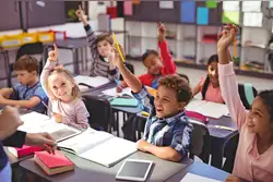 Shaping future leaders through excellence, values and opportunity