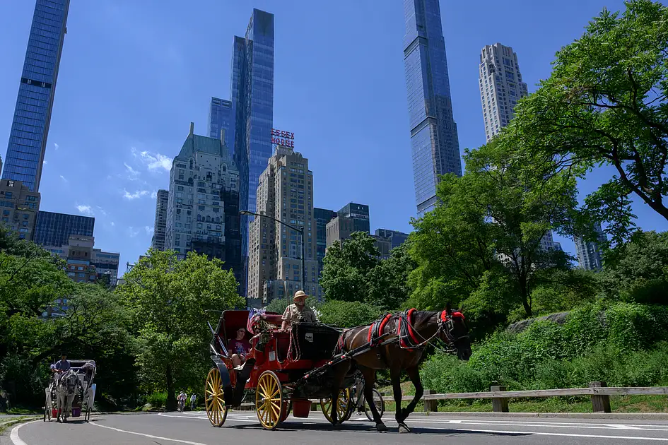 Bill banning horse carriages in New York renamed after Indian teen who ...