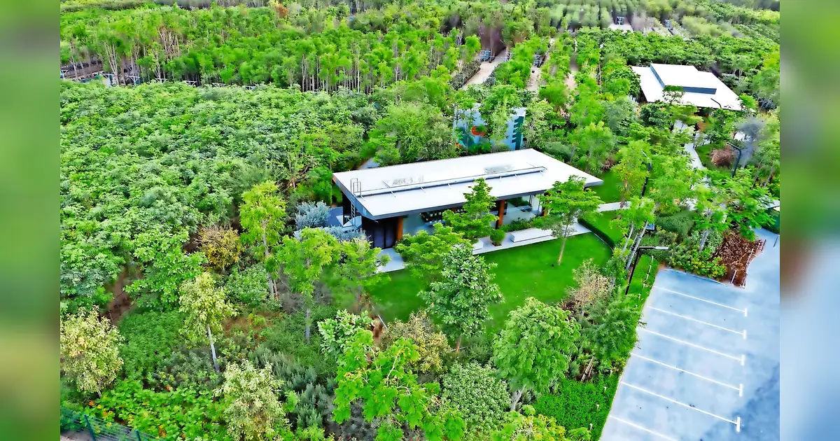 Shajar Sparks UAE Forest-Style Living Trend, Transforming Real Estate in Sharjah and Dubai Shajar Sparks UAE Forest-Style Living Trend, Transforming Real Estate in Sharjah and Dubai