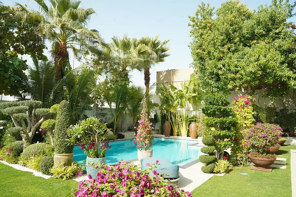 Dubai sets target to plant 3.5 million trees by 2040