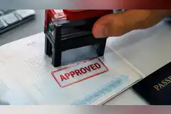 UAE's 5-year multiple-entry tourist visa: Fees, documents, rejection explained
