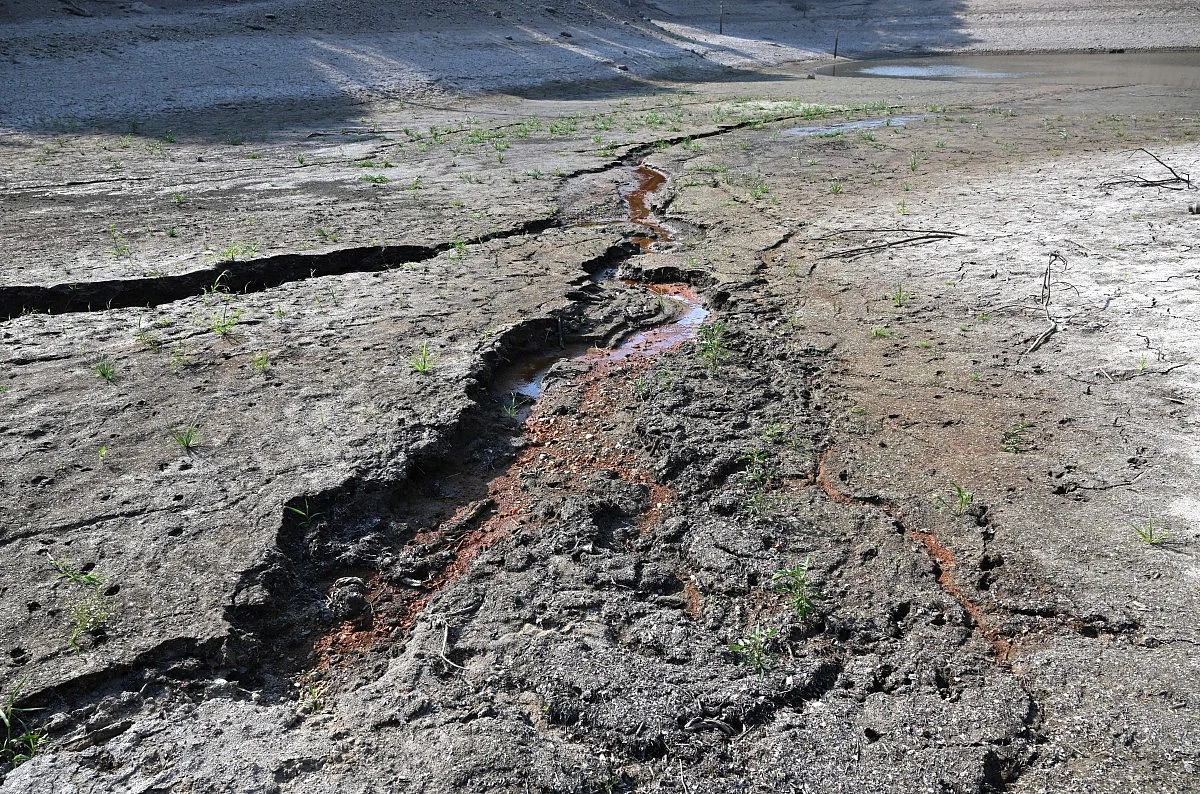 South Korea Records 16 Heat-Related Deaths This Summer