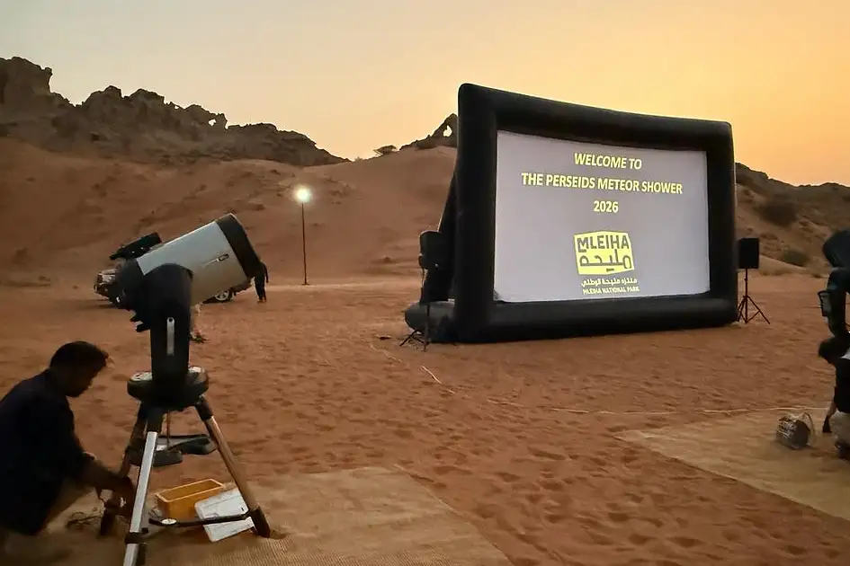 Perseids meteor shower: Colourful fireballs dazzle UAE stargazers in ...