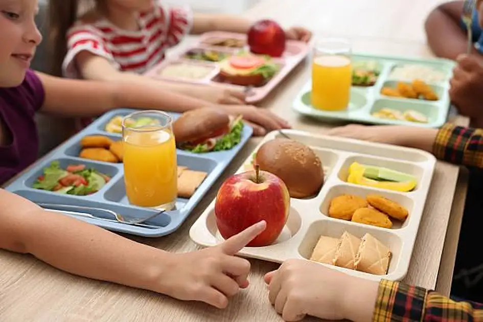 School lunch bill: UAE families could spend around Dh800 a month per child