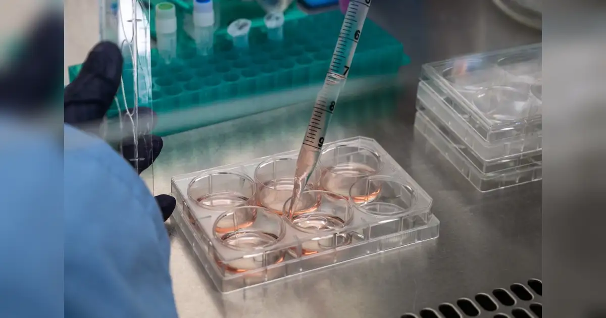 UAE targets complex generics and biosimilars in pharma manufacturing push