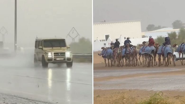 Watch: Cars splash past wet roads, camels brave rains as light showers hit Dubai