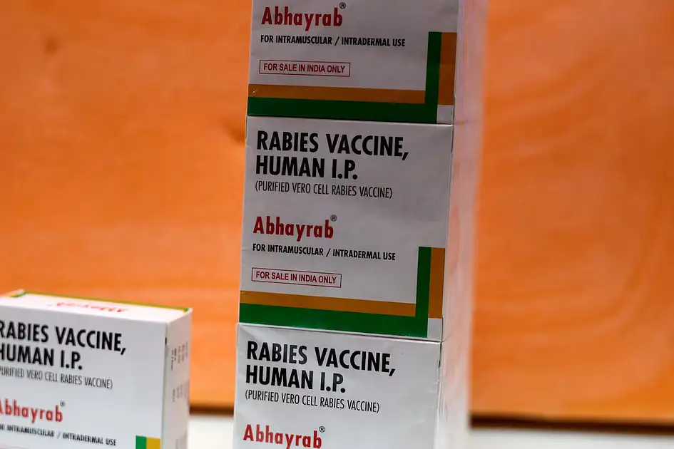 India flags Abhayrab rabies vaccine batch as substandard, potentially fake