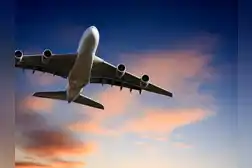 UAE latest flight updates: Several flights cancelled or delayed