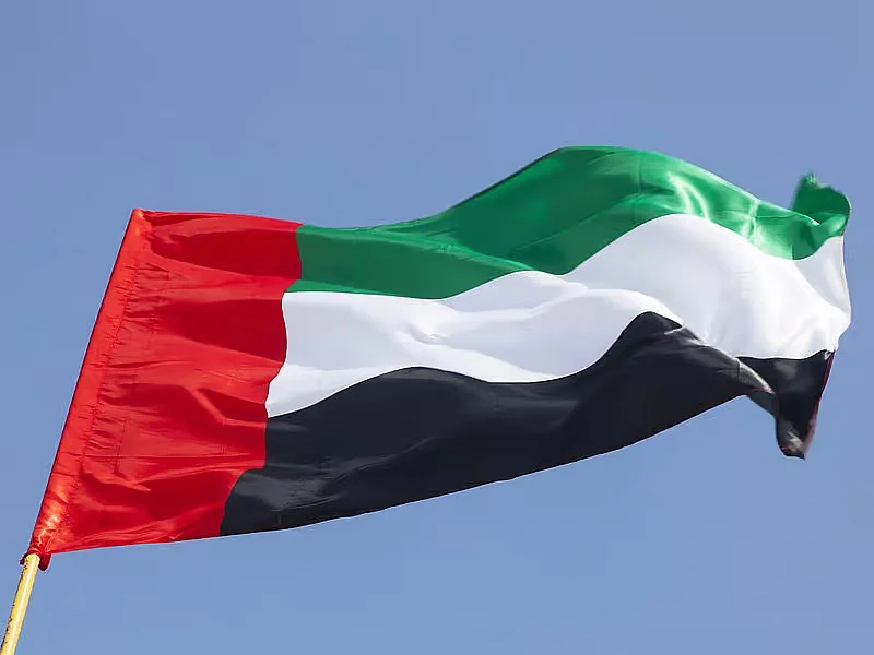 UAE arrests international gang leader wanted by Interpol over money laundering