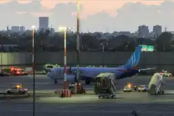 Flydubai FZ1073: UAE authorities prioritise facts over speed during crises: Crisis communication