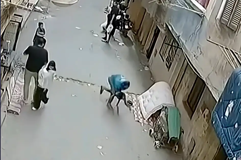 Watch: Viral video shows Egyptian man catching child who fell from second ...